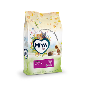Miyacat Excellent XL
